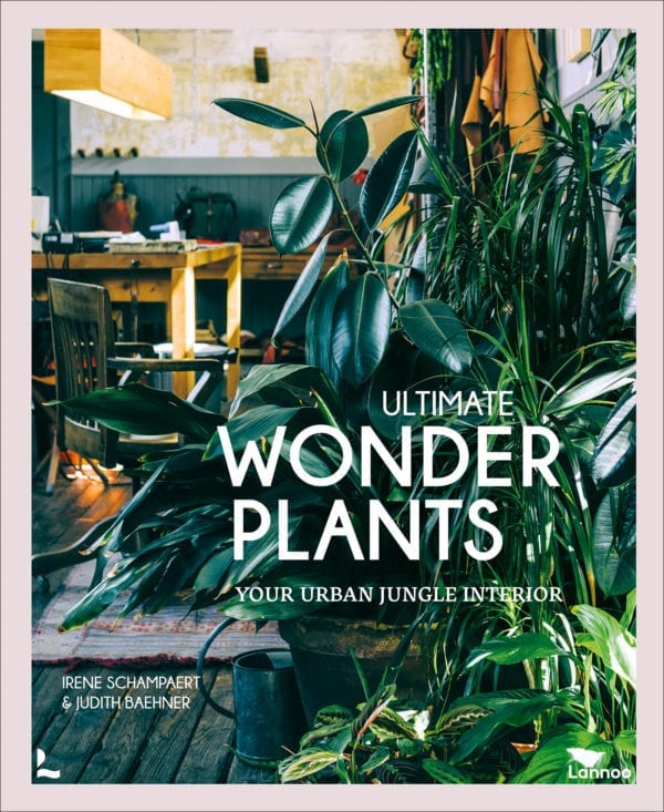 Ultimate Wonderplants - luxelookstores